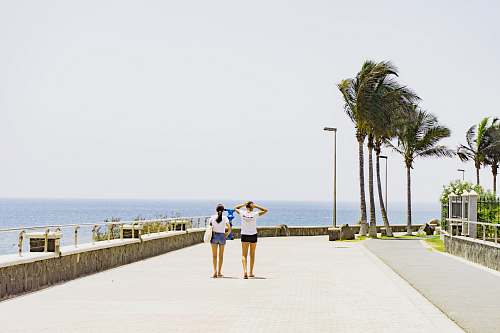 tree two women walking beside body of water arecaceae